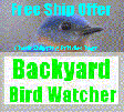 BBWBLUEBIRDLOGOS.gif
