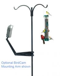 WingscapesBirdCammountingarm.jpg