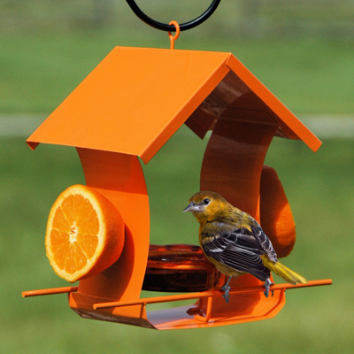 feeder bird oriole feeders metal house fruit woodlink orioles birds boxes backyardbirdwatcher duncraft jam backyard almanac