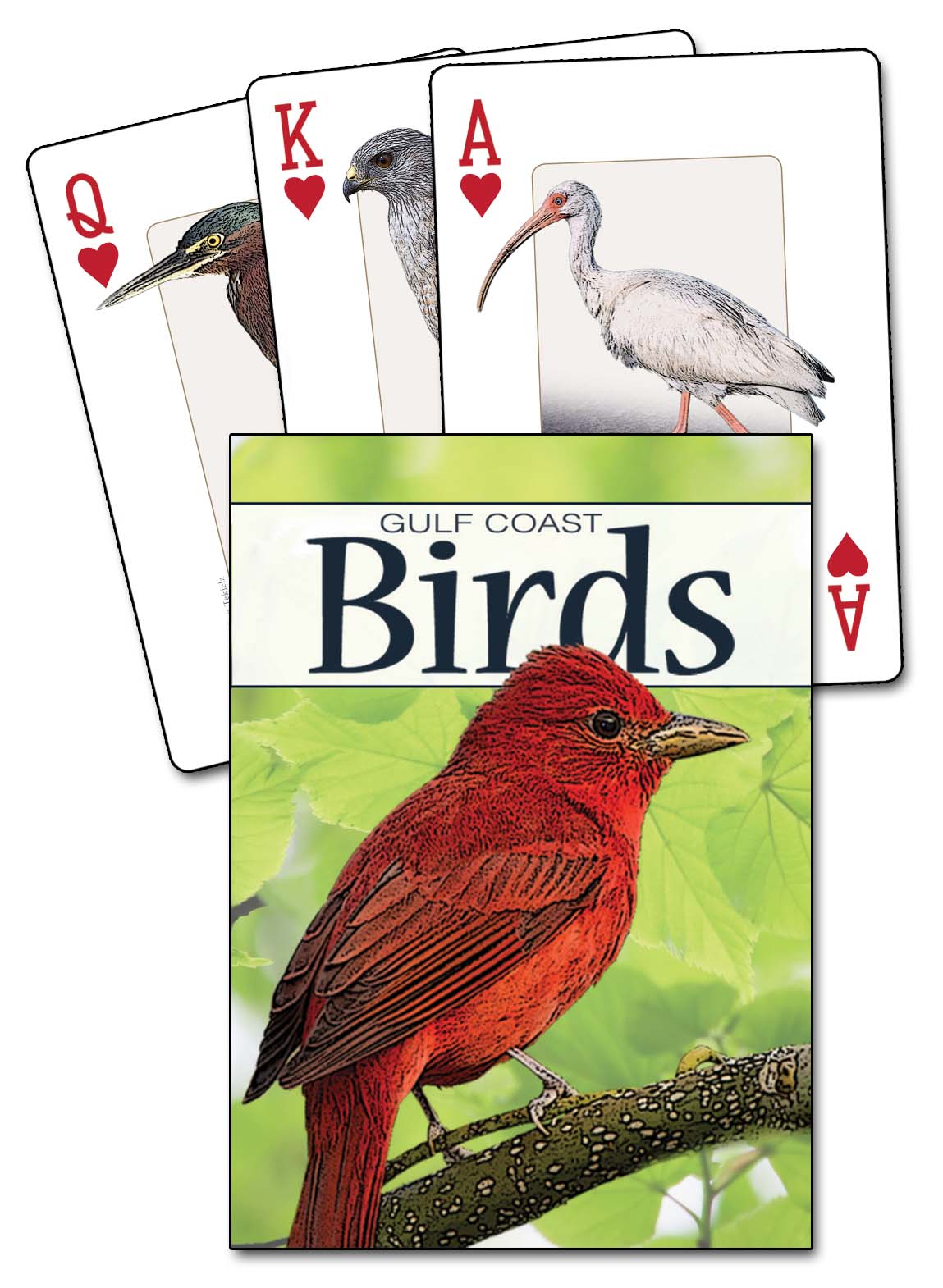 Birds of the Gulf Playing Cards