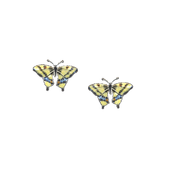 Swallowtail Butterfly Post Earrings