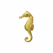 0032pinseahorseyellow.png