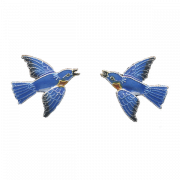 0119postsbluebirdearrings.png