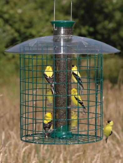 Droll Yankees Thistle Domed Cage Feeder